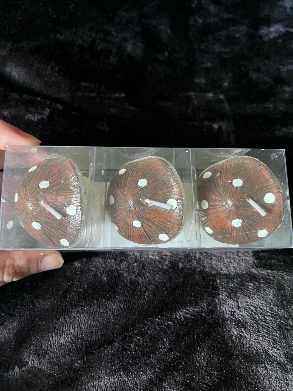 NWT NIB Ashland Mushroom Candles set of 3